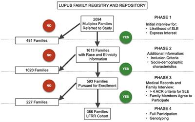Impact of race and ethnicity on family participation in systemic lupus erythematosus genetic studies